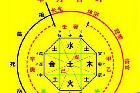 天公子的八字命格|生辰八字算命、五行喜用神查詢（免費測算）